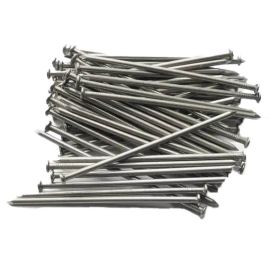 Boite de clous à tête plate - 140x5.5mm - Green Avenue