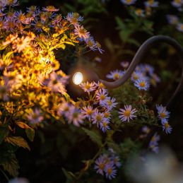 Luminaire XIBLE - LightPro