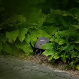 Switch Smart (Wi-Fi)