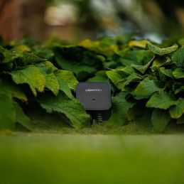 Switch Smart (Wi-Fi)