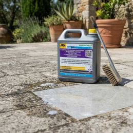 Detergente sgrassante e smacchiatore PS87 PRO 5L - FILA