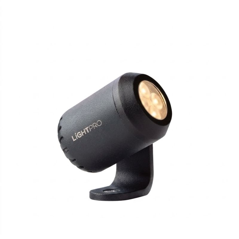 Spot LED extérieur 12V Juno 2 - LightPro