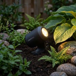 Spot LED extérieur 12V Juno 2 - LightPro