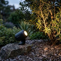 Spot LED extérieur 12V Juno 2 - LightPro